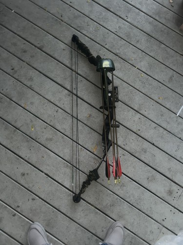 Left hand fred bear archery - fred,