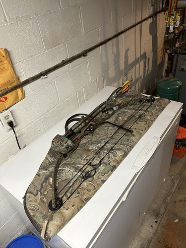 Hoyt usa mystic rebel compound - rebel,