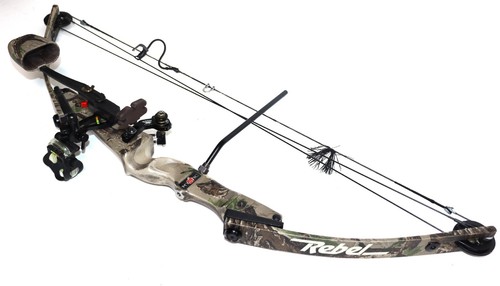 Hoyt mystical rebel 70lb - rebel, 60-70lb